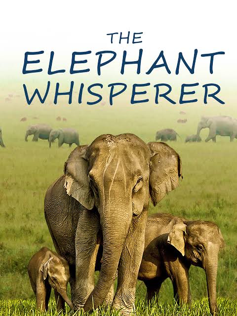 -The-Elephant-Whisperers-2022-Hindi-English-Dual-audio-Short-Documentary-Movie-HD-ESub